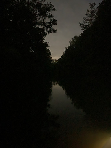 Night photograph of the two silhouetted, tree-line banks of a river taken at night from a kayak.